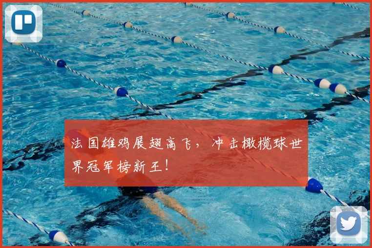 法国雄鸡展翅高飞，冲击橄榄球世界冠军榜新王！