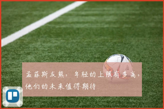 孟菲斯灰熊，年轻的上限有多高，他们的未来值得期待