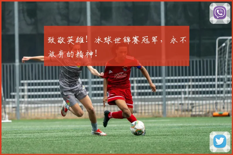 致敬英雄！冰球世锦赛冠军，永不放弃的精神！