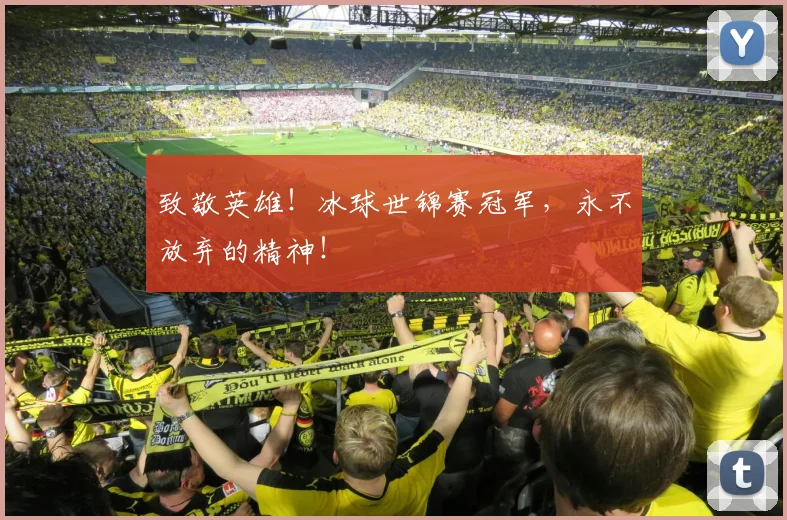 致敬英雄！冰球世锦赛冠军，永不放弃的精神！